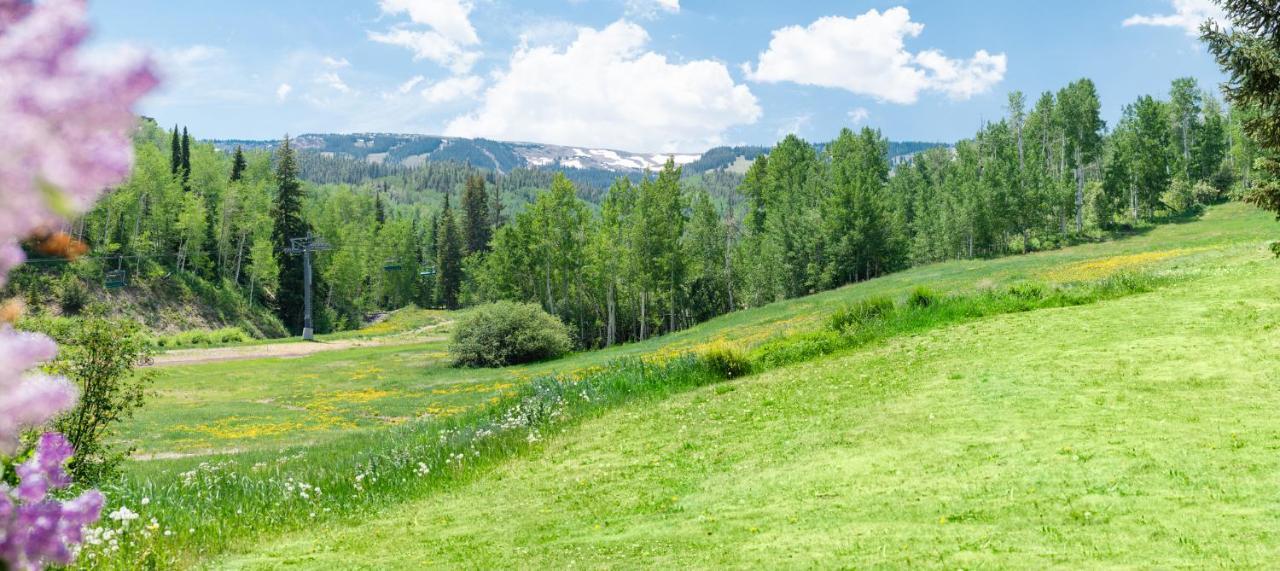 Laurelwood Condominiums 303 Snowmass Village Zewnętrze zdjęcie